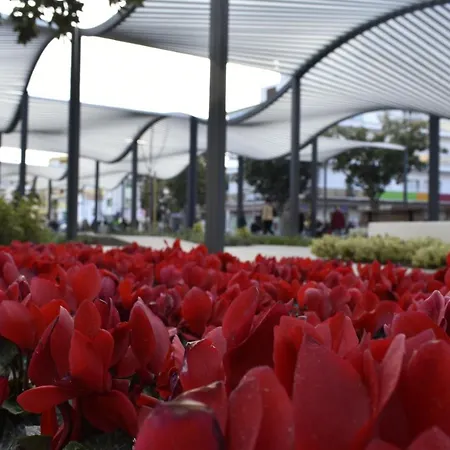 Paris Architecture - Apartment