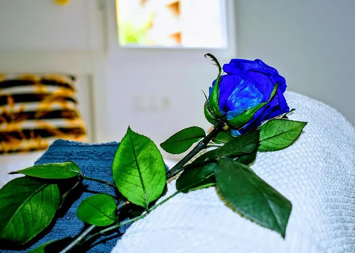 Paris Architecture - アパート トレモリノス